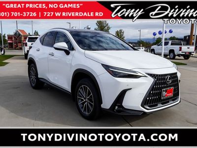 2024 Lexus NX 350 Luxury