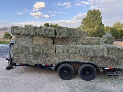 60 Bales of hay