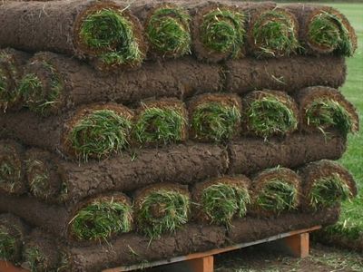 600 sq ft of sod