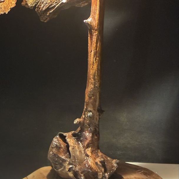 Main image 4