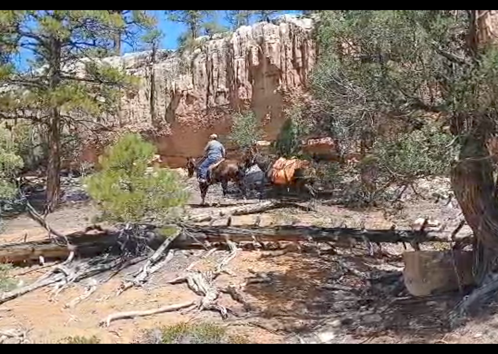 Main image 5