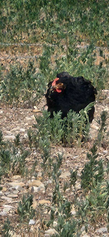 Main image 4