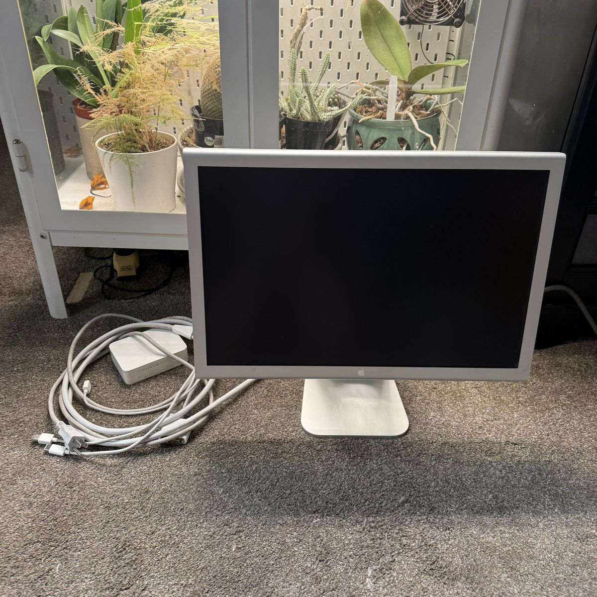Apple moniter