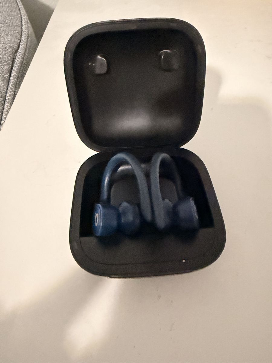 Beats Powerbeats Pro Wireless Earbuds - Navy Blue with Charging Case
