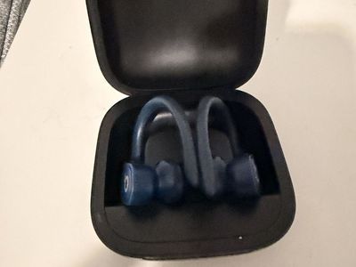 Beats Powerbeats Pro Wireless Earbuds - Navy Blue with Charging Case