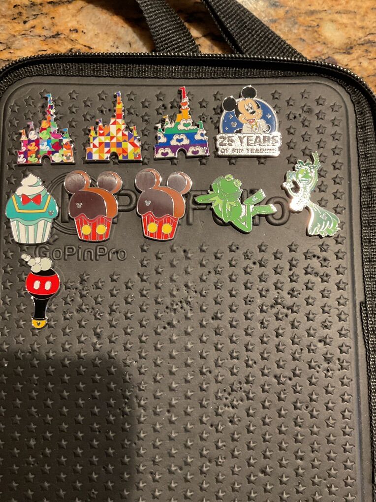 DIsneyworld Hidden Mickey Pins