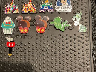 DIsneyworld Hidden Mickey Pins