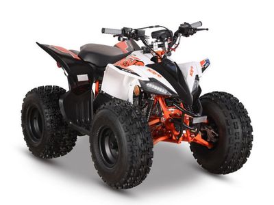 2026 Kayo AT125-D