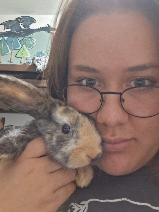 mixed breed, cuddly bunnies
