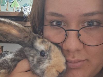 mixed breed, cuddly bunnies