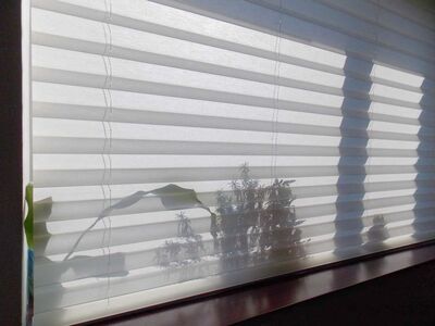 Roller Shades | Custom Blinds | Vertical Blinds | Wood Shutters | Roman Shades | Faux Wood Blinds
