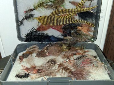 Scientific Anglers Fly Fishing Box loaded with Assorted Streamers and Nymphs