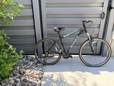 Schwinn Bicycle