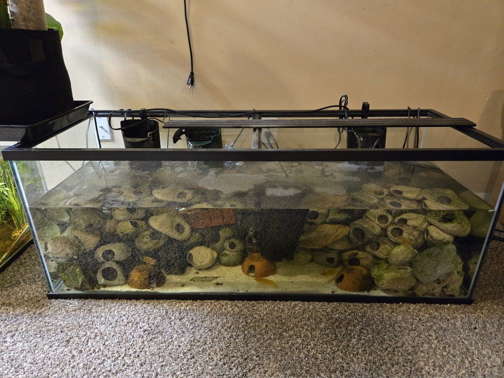 60 breeder with all the  cichlid rocks (no fish)