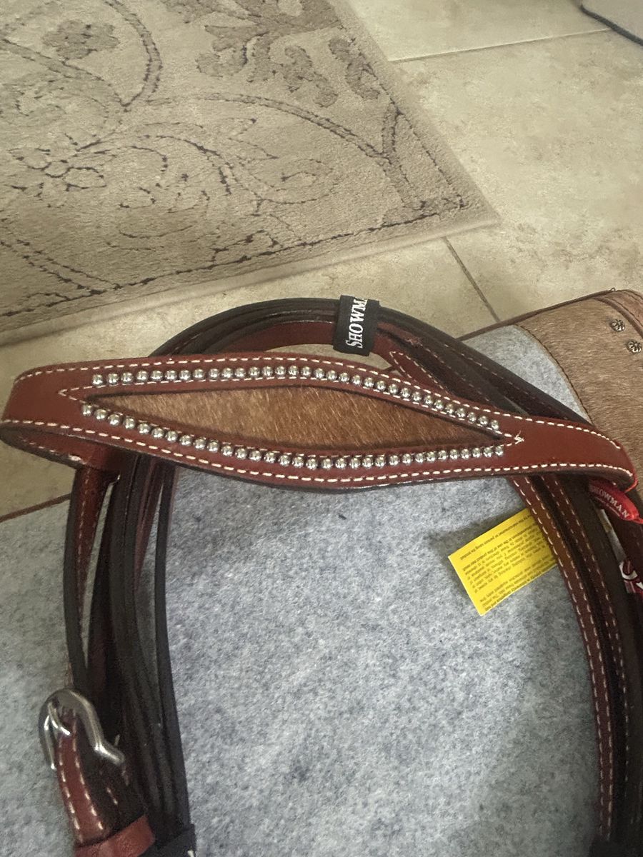 Beautiful Showman Tack