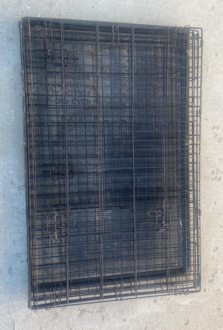 Main image 5