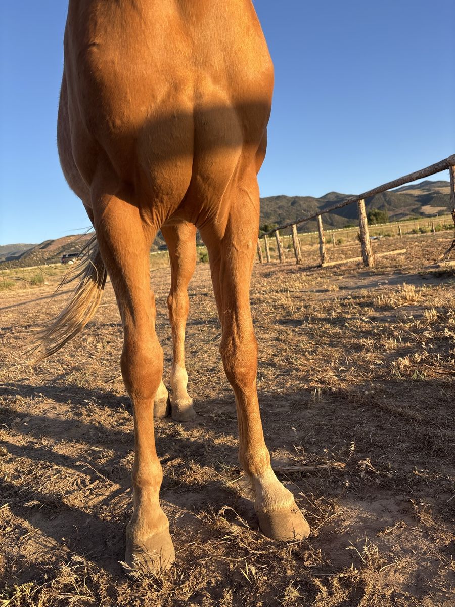 Main image 6