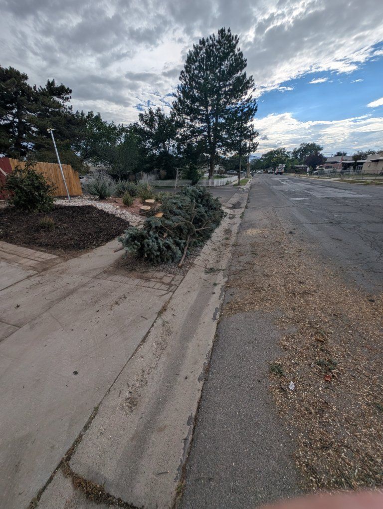 Main image 3