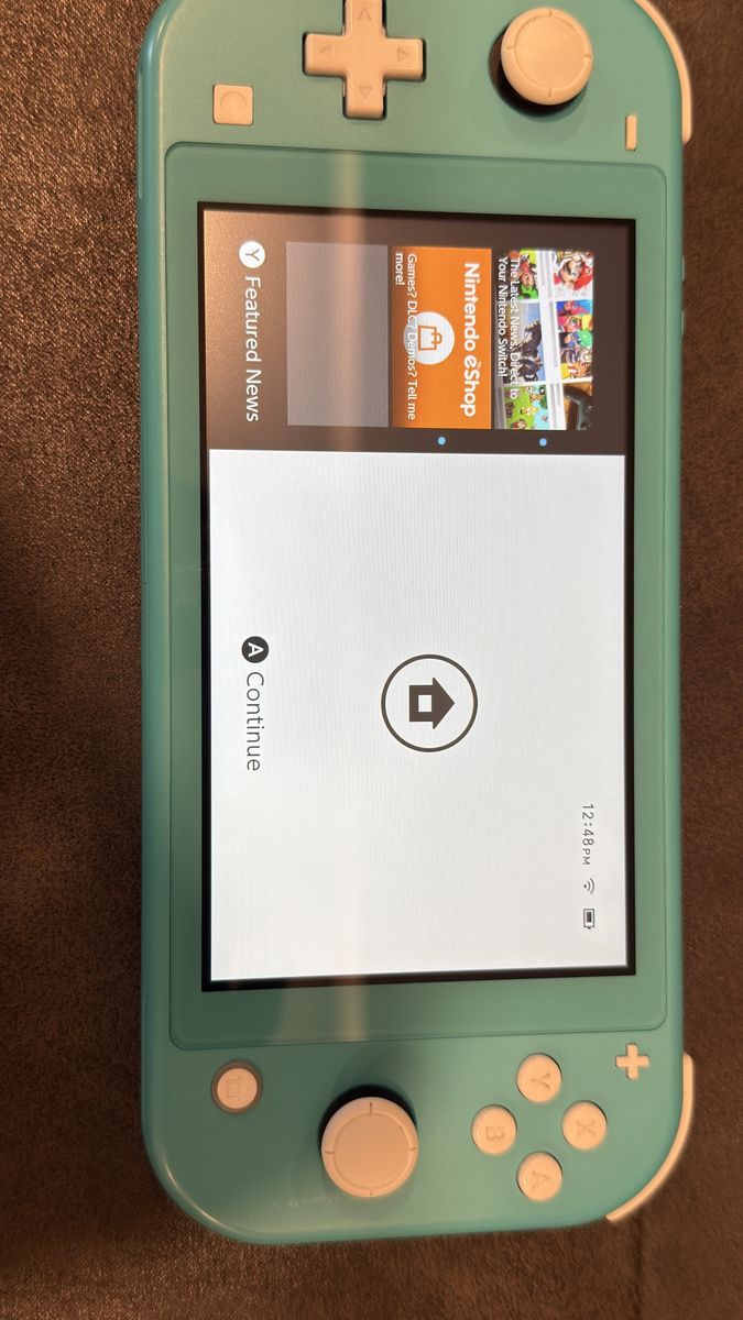 Nintendo Switch Lite