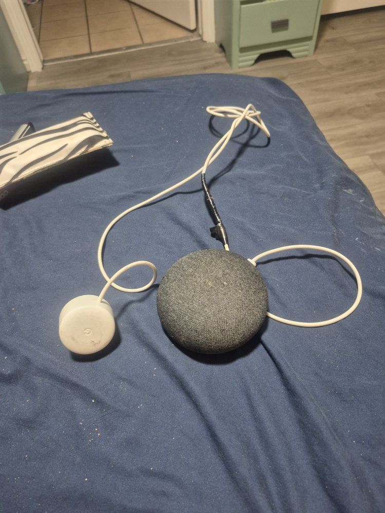 Google speaker