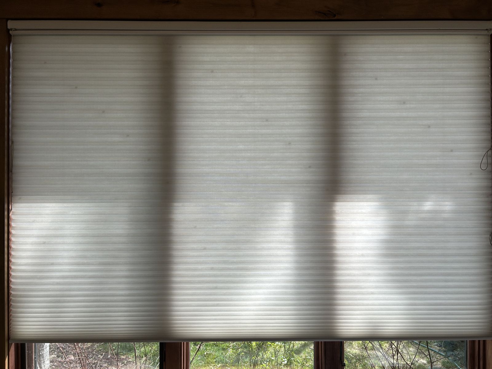 Cellular Blinds