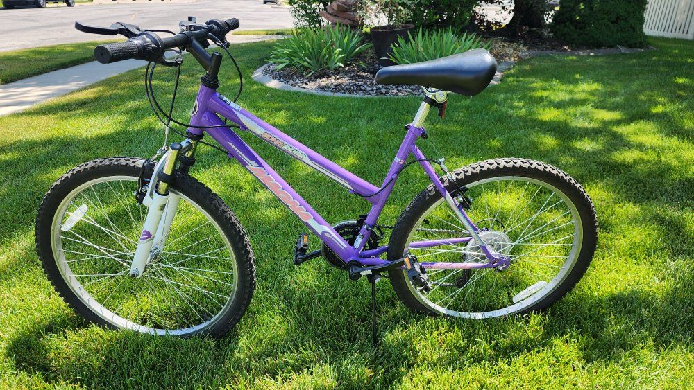 Magna Echo Ridge 24 inch Girls Mountain Bike - 18-Speed, Purple/Pink, Good Condition