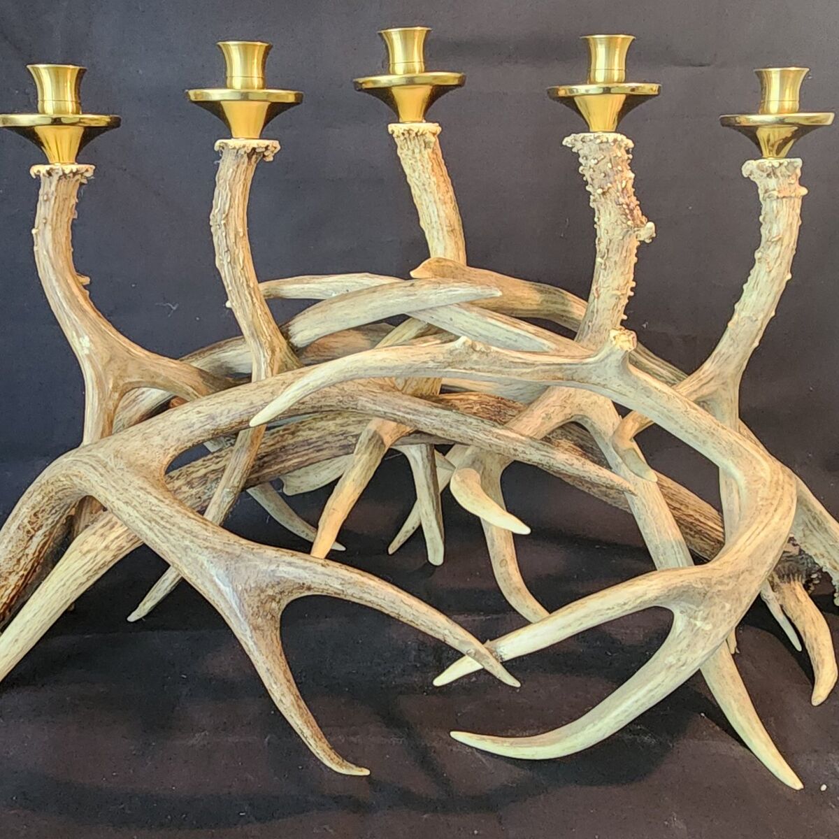 Deer antler Candle abra