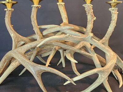 Deer antler Candle abra