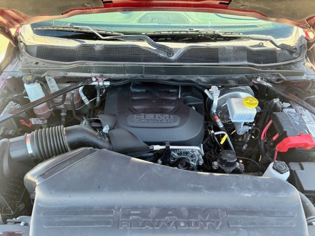Main image 6