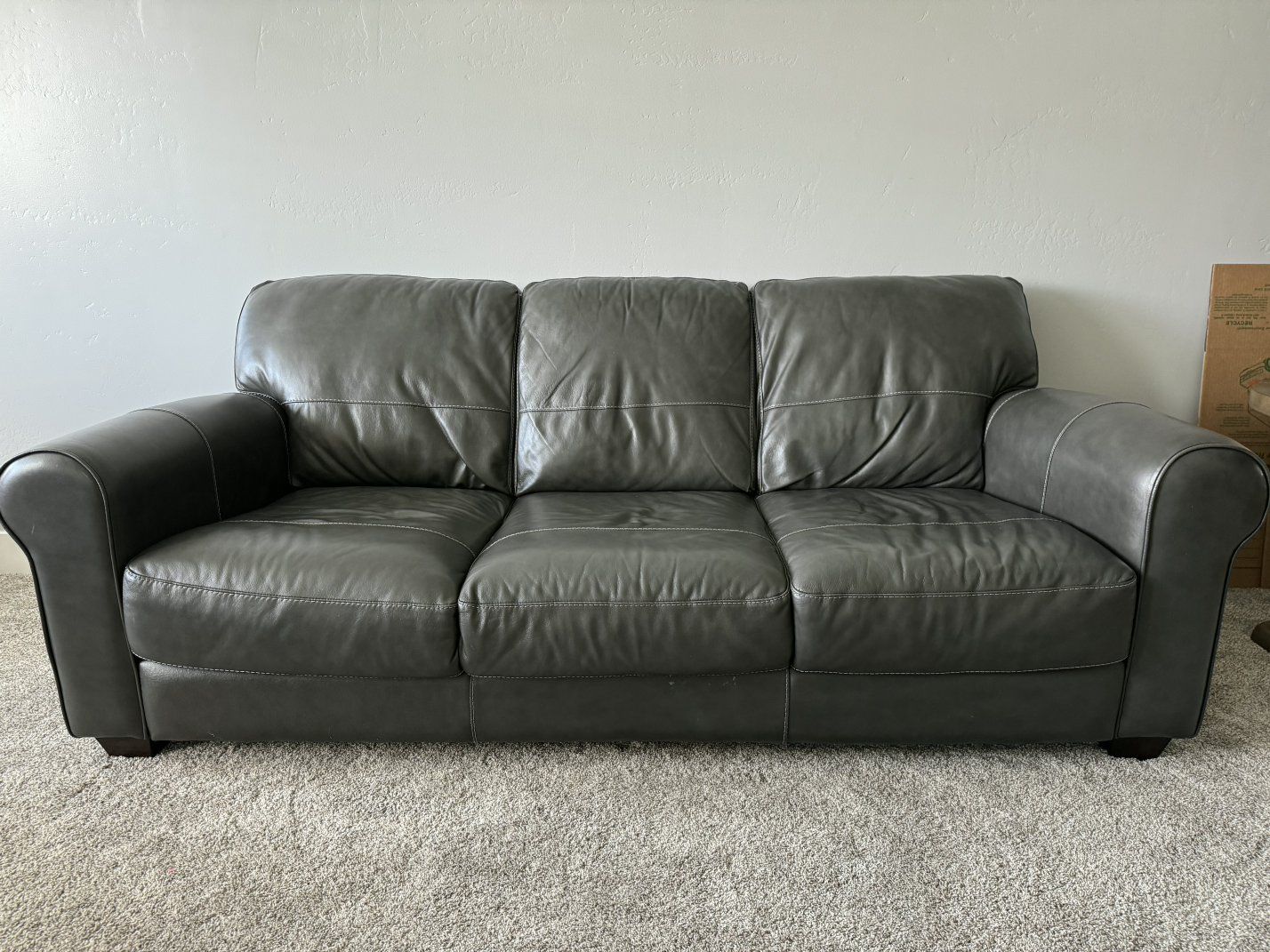 Dark Grey Couch