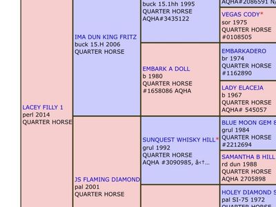 2014 Grade mare