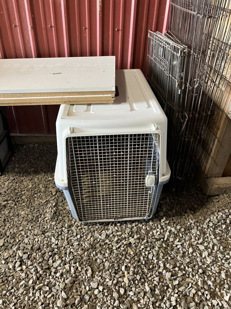 Dog Crate