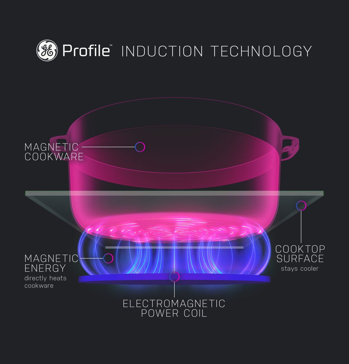 Main image 5