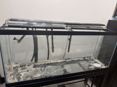 55 gallon