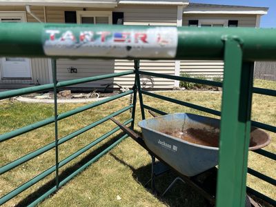 Tarter 6-Bar 10' Economy Green Gate - with Chain Latch