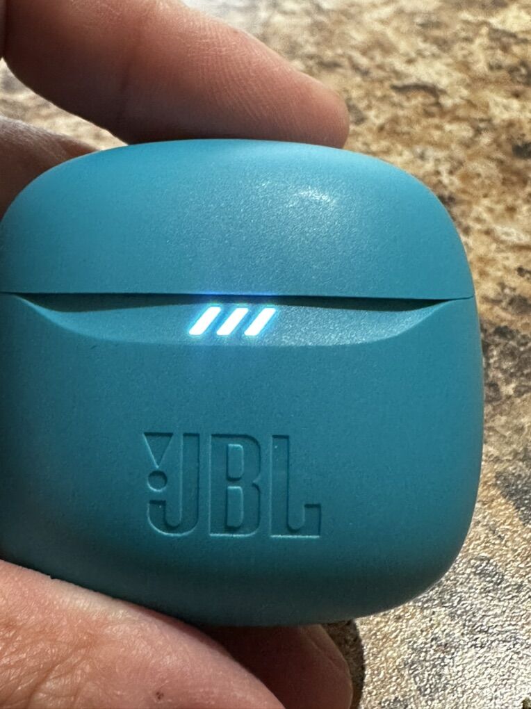 JBL Flex 2