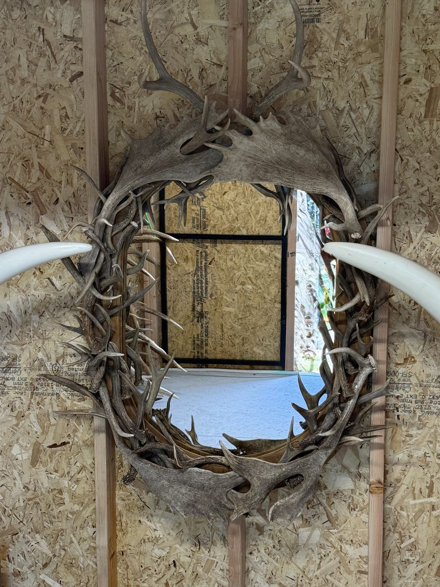 Taxidermy