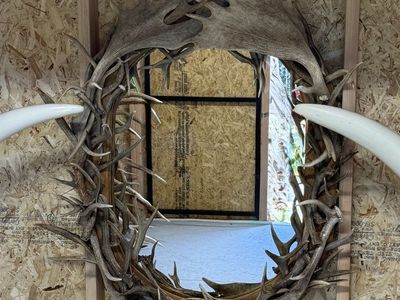 Taxidermy