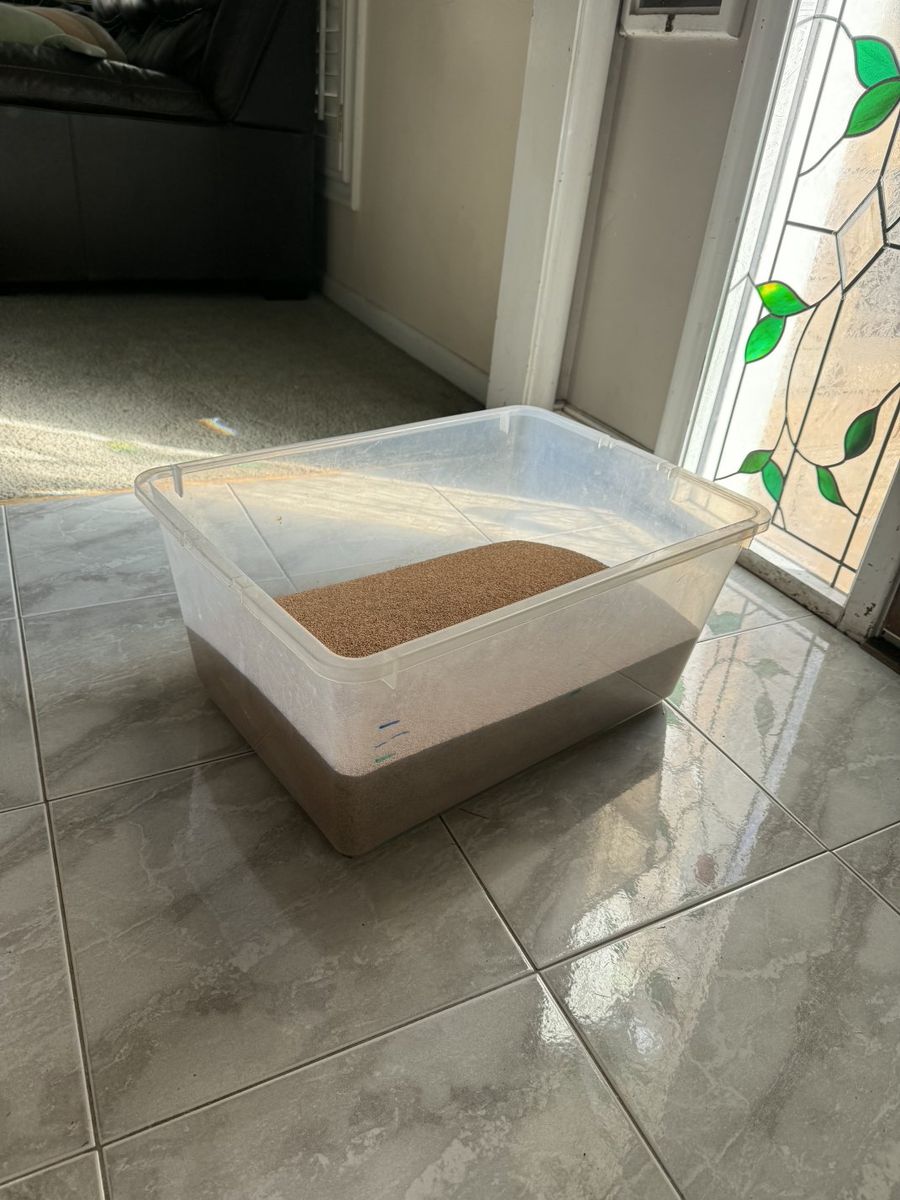 Clean Beaeded Dragon Egg Sand