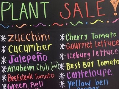 Plant Sale 🪴