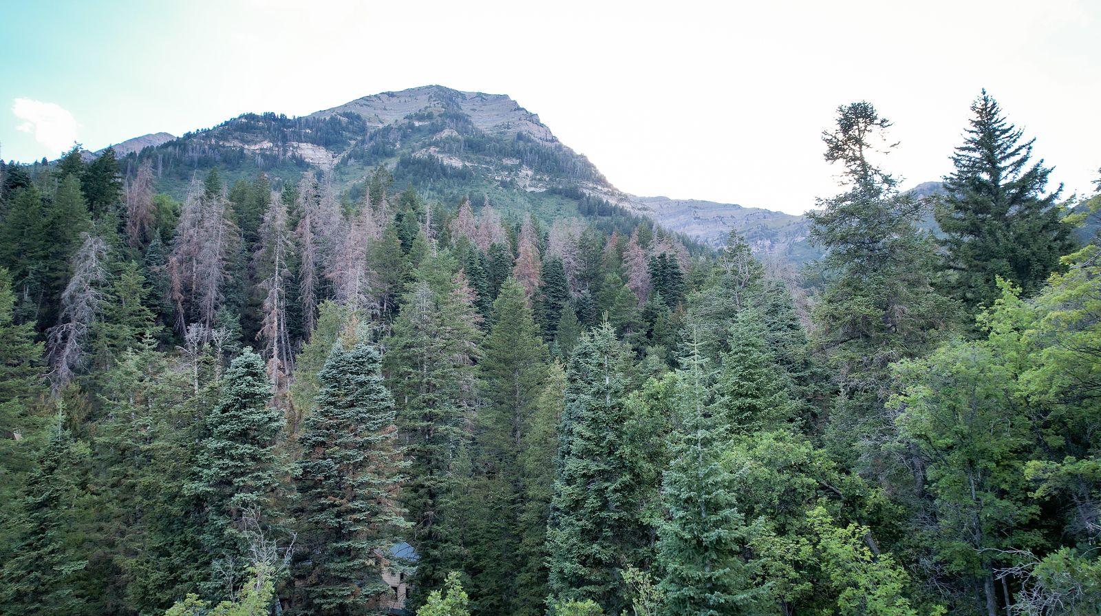 Main image 16