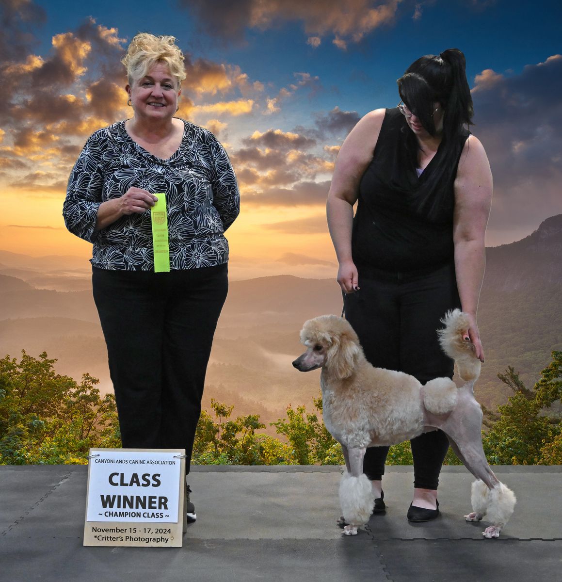 AKC Retired Champion Poodle