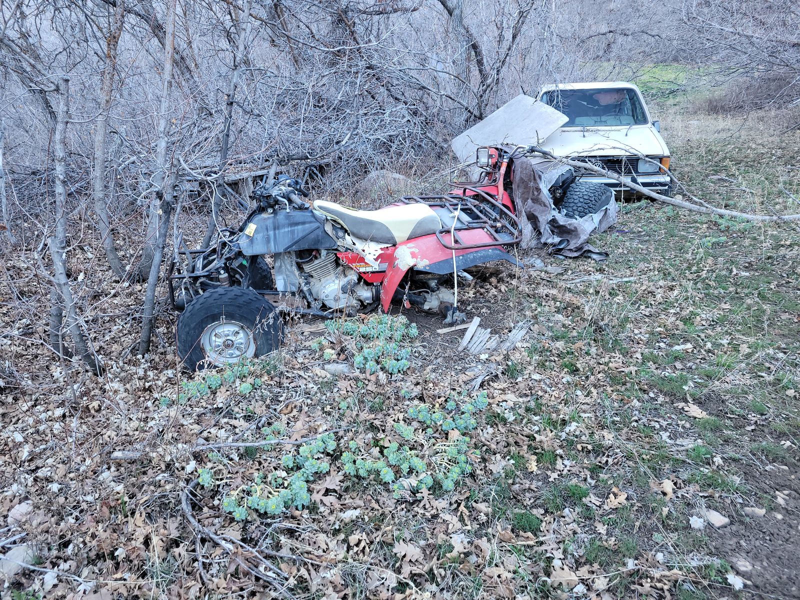 4 WHEELER.  WORKED WHEN I PARKED IT