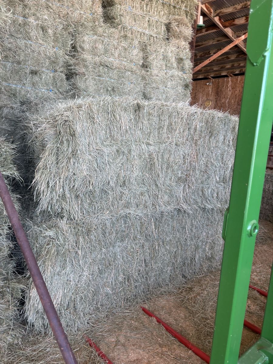 Horse Quality Grass Hay