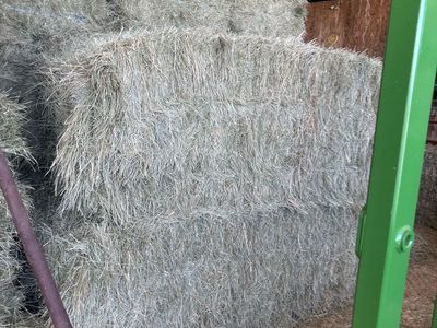 Horse Quality Grass Hay
