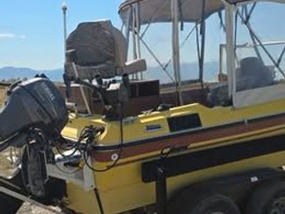 1976 Larson Runabout Boat with fishing gear setup