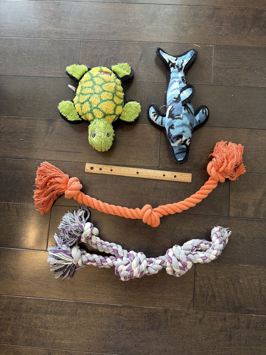 Dog Toys