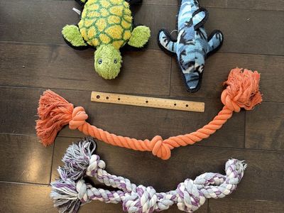 Dog Toys