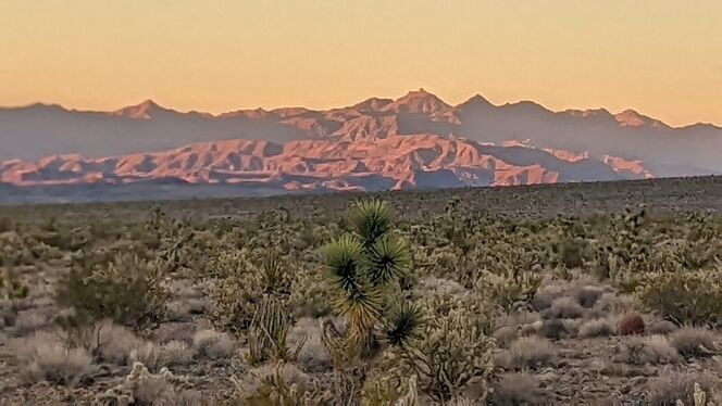 20 ACRES PRISTINE ARIZONA LAND!