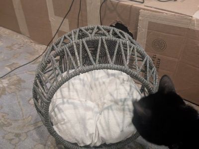 catt egg chair bed